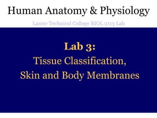 Lab 3:
Tissue Classification,
Skin and Body Membranes
Human Anatomy & Physiology
Lanier Technical College BIOL 2113 Lab
 