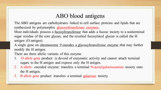 ABO blood antigens
The ABO antigens are carbohydrates linked to cell surface proteins and lipids that are
synthesized by polymorphic glycosyltransferase enzymes.
Most individuals possess a fucosyltransferase that adds a fucose moiety to a nonterminal
sugar residue of the core glycan, and the resulted fucosylated glycan is called the H
antigen (O antigen).
A single gene on chromosome 9 encodes a glycosyltransferase enzyme that may further
modify the H antigen.
There are three allelic variants of this enzyme
1. O allele gene product: is devoid of enzymatic activity and cannot attach terminal
sugars to the H antigen and express only the H antigen.
2. A allele– encoded enzyme: transfers a terminal N-acetylgalactosamine moiety onto
the H antigen.
3. B allele gene product: transfers a terminal galactose moiety.
 