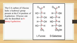 The C-6 carbon of l-fucose
lacks a hydroxyl group
present at the C-6 position of
d-galactose. l-Fucose can
also be described as 6-
deoxy-l-galactose.
 