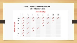 Most Common Transplantation
-Blood Transfusion-
 