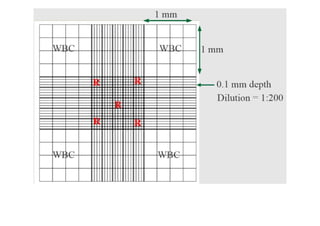 Lab5-Blood Cell Counting hemocytometerrr | PDF