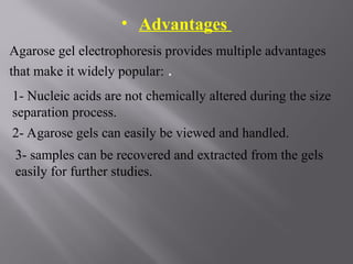 • Advantages
Agarose gel electrophoresis provides multiple advantages
that make it widely popular: .
1- Nucleic acids are not chemically altered during the size
separation process.
2- Agarose gels can easily be viewed and handled.
3- samples can be recovered and extracted from the gels
easily for further studies.
 