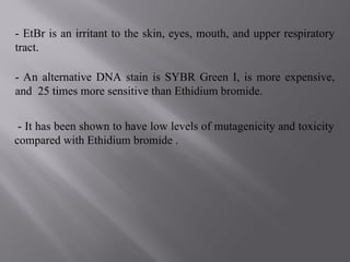 - An alternative DNA stain is SYBR Green I, is more expensive,
and 25 times more sensitive than Ethidium bromide.
- It has been shown to have low levels of mutagenicity and toxicity
compared with Ethidium bromide .
- EtBr is an irritant to the skin, eyes, mouth, and upper respiratory
tract.
 