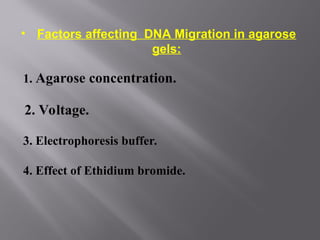 • Factors affecting DNA Migration in agarose
gels:
1. Agarose concentration.
2. Voltage.
3. Electrophoresis buffer.
4. Effect of Ethidium bromide.
 