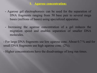 1. Agarose concentration:
- Agarose gel electrophoresis can be used for the separation of
DNA fragments ranging from 50 base pair to several mega
bases (millions of bases) using specialized apparatus.
- Increasing the agarose concentration of a gel reduces the
migration speed and enables separation of smaller DNA
molecules.
- For large DNA fragments use low agarose conc. About 0.7 % and for
small DNA fragments use high agarose conc. (2%).
- Higher concentrations have the disadvantage of long run times.
 