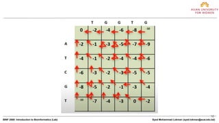 Global Alignment | PDF