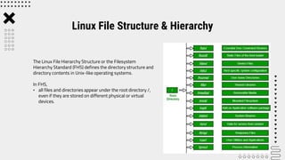 Lab 5 Linux File Structure and Hierarchy.pptx | Operating Systems ...