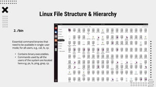 Lab 5 Linux File Structure and Hierarchy.pptx | Operating Systems ...
