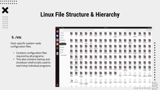 Lab 5 Linux File Structure and Hierarchy.pptx | Operating Systems ...
