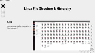 Lab 5 Linux File Structure and Hierarchy.pptx | Operating Systems ...