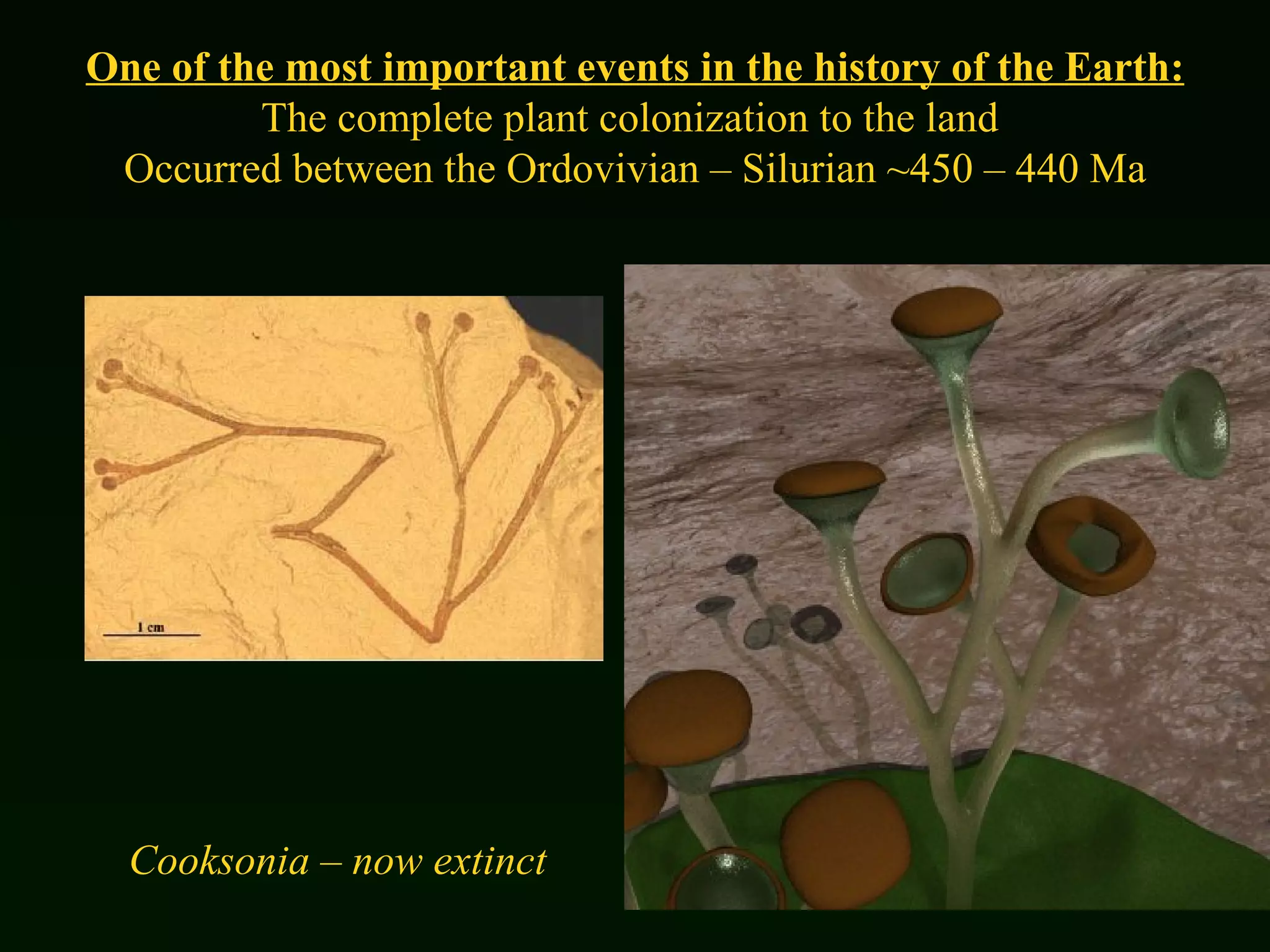 One of the most important events in the history of the Earth: The complete plant colonization to the land  Occurred between the Ordovivian – Silurian ~450 – 440 Ma Cooksonia – now extinct 