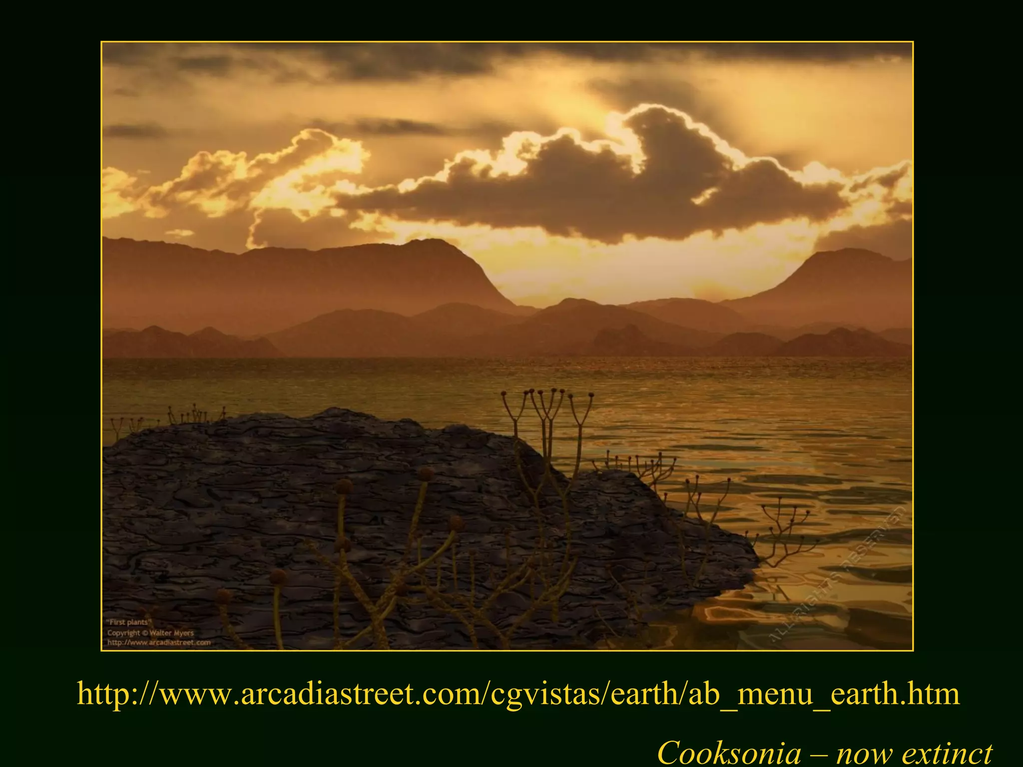 http://www.arcadiastreet.com/cgvistas/earth/ab_menu_earth.htm Cooksonia – now extinct 