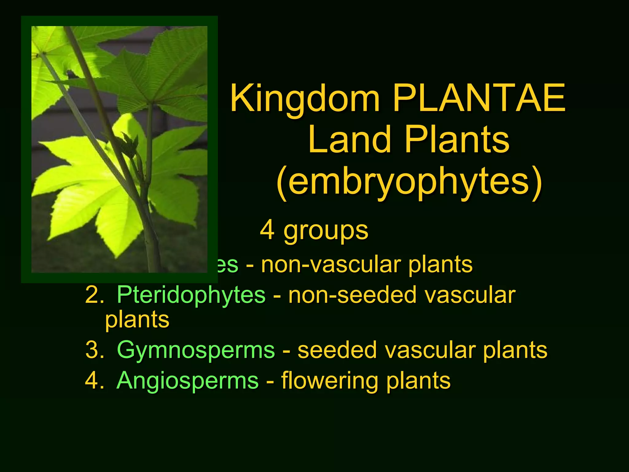 Kingdom PLANTAE  Land Plants (embryophytes) 4 groups 1. Bryophytes  - non-vascular plants 2. Pteridophytes  - non-seeded vascular plants 3. Gymnosperms  - seeded vascular plants 4. Angiosperms  - flowering plants 