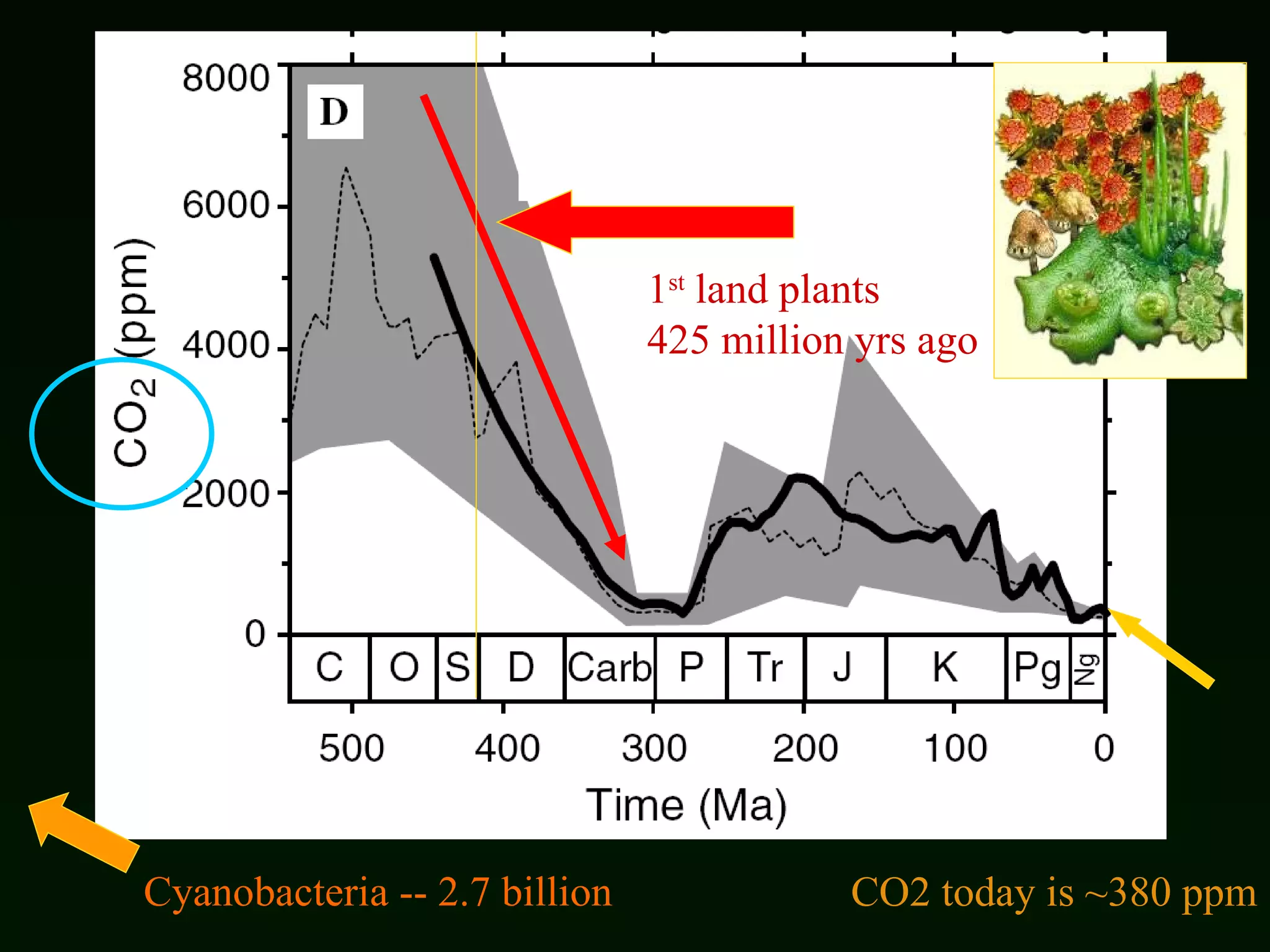 CO2 today is ~380 ppm Cyanobacteria -- 2.7 billion   1 st  land plants  425 million yrs ago 