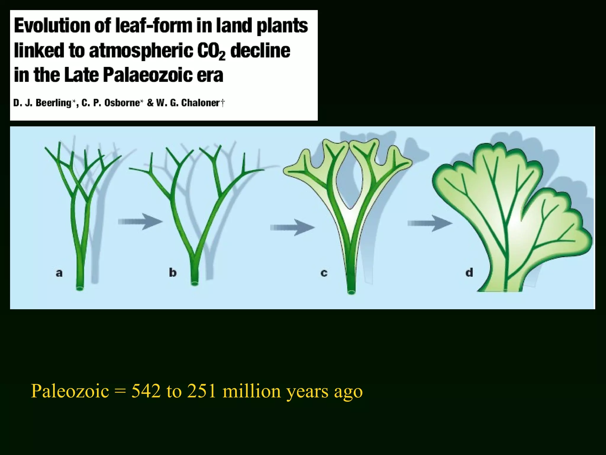 Paleozoic = 542 to 251 million years ago  