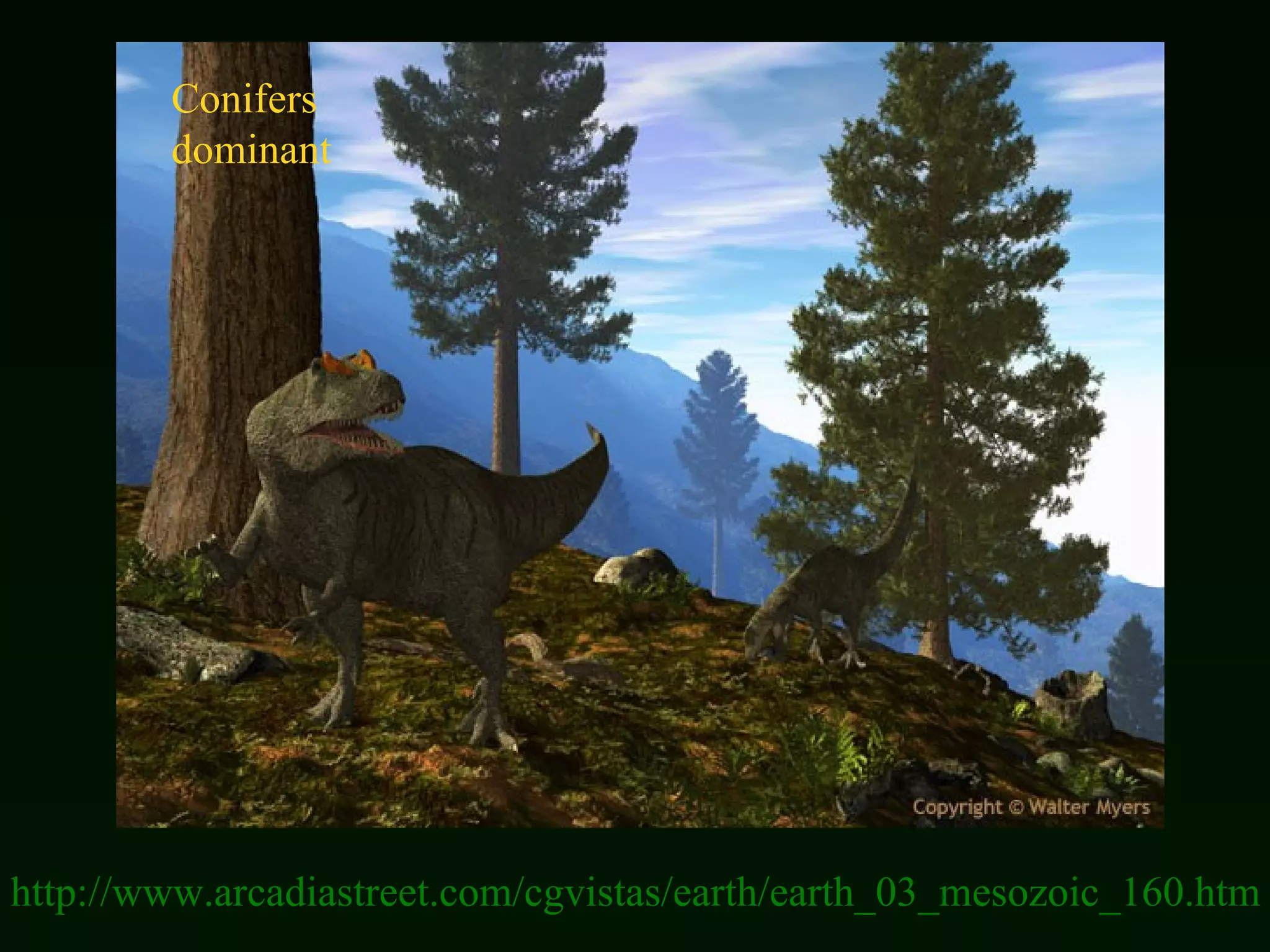 http://www.arcadiastreet.com/cgvistas/earth/earth_03_mesozoic_160.htm Conifers dominant 