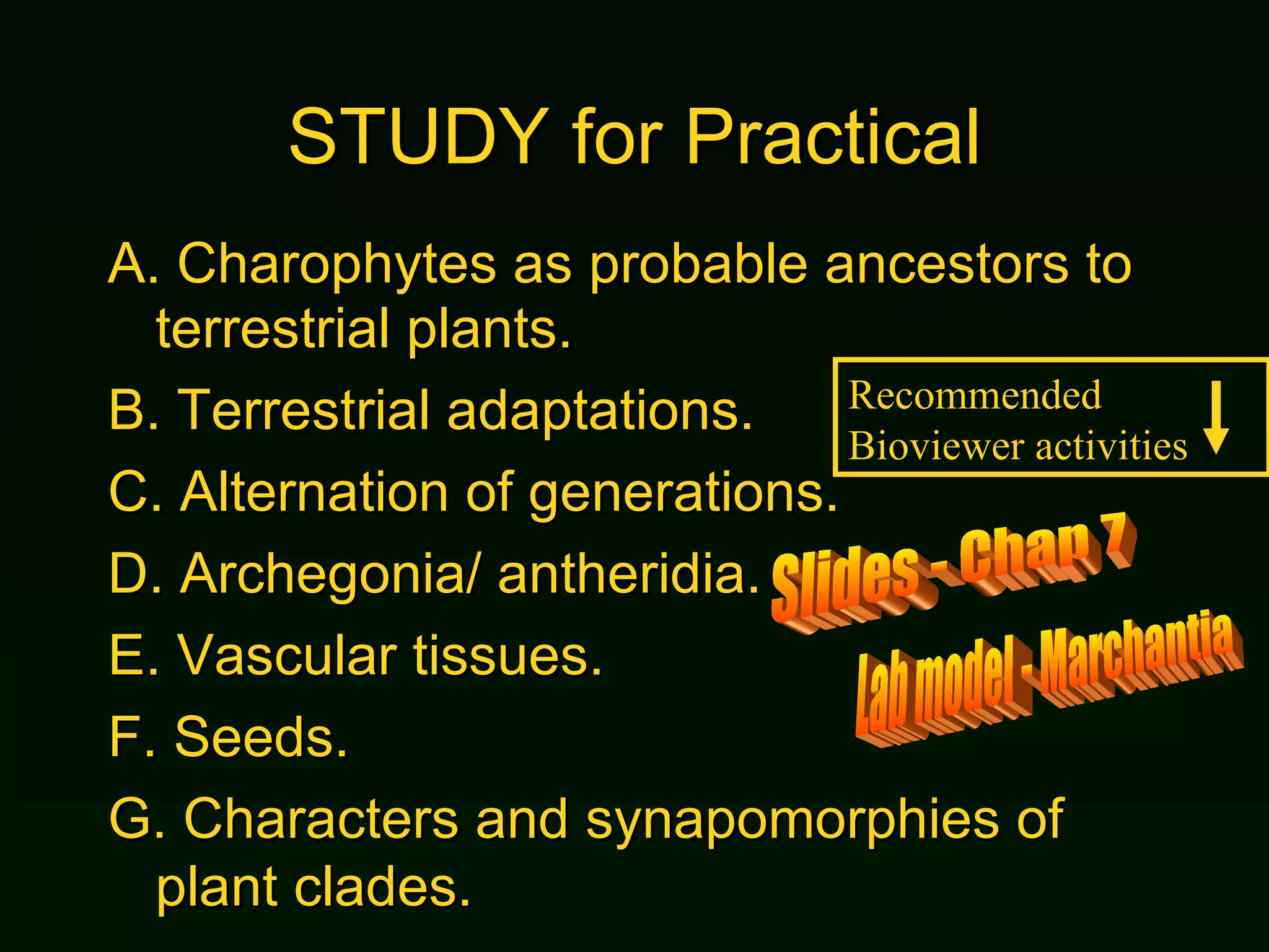 STUDY for Practical A.  Charophytes as probable ancestors to terrestrial plants. B.  Terrestrial adaptations. C.  Alternation of generations. D.  Archegonia/ antheridia. E.  Vascular tissues. F.  Seeds.  G. Characters and synapomorphies of plant clades. Slides - Chap 7 Lab model - Marchantia Recommended Bioviewer activities 