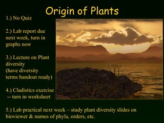 Origin of Plants 1.) No Quiz 2.) Lab report due  next week, turn in  graphs now 3.) Lecture on Plant  diversity (have diversity  terms handout ready) 4.) Cladistics exercise  -- turn in worksheet 5.) Lab practical next week – study plant diversity slides on bioviewer & names of phyla, orders, etc. 