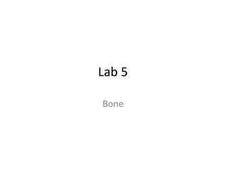 Lab 5

Bone
 