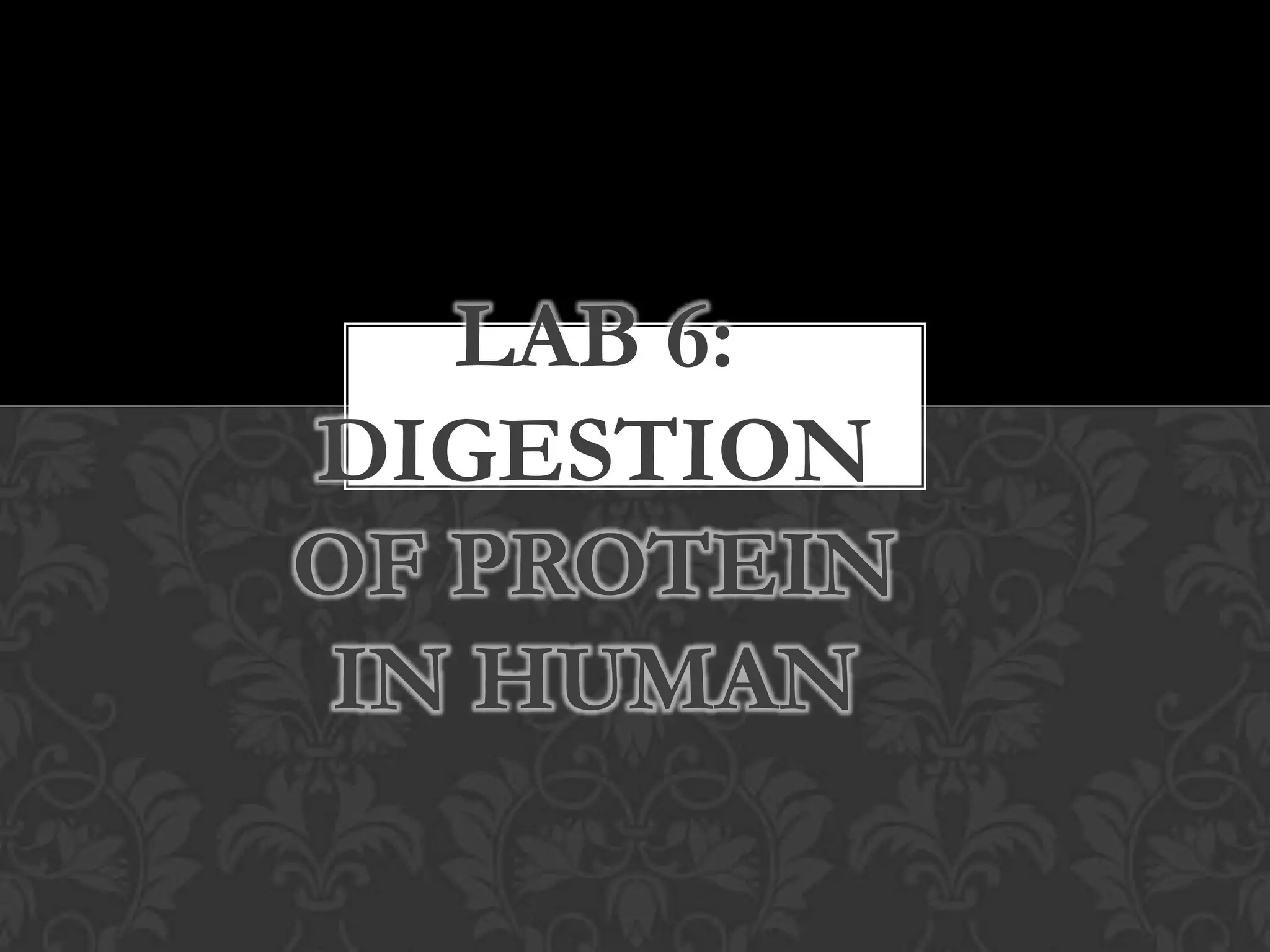 LAB 6:
DIGESTION
OF PROTEIN
 IN HUMAN
 