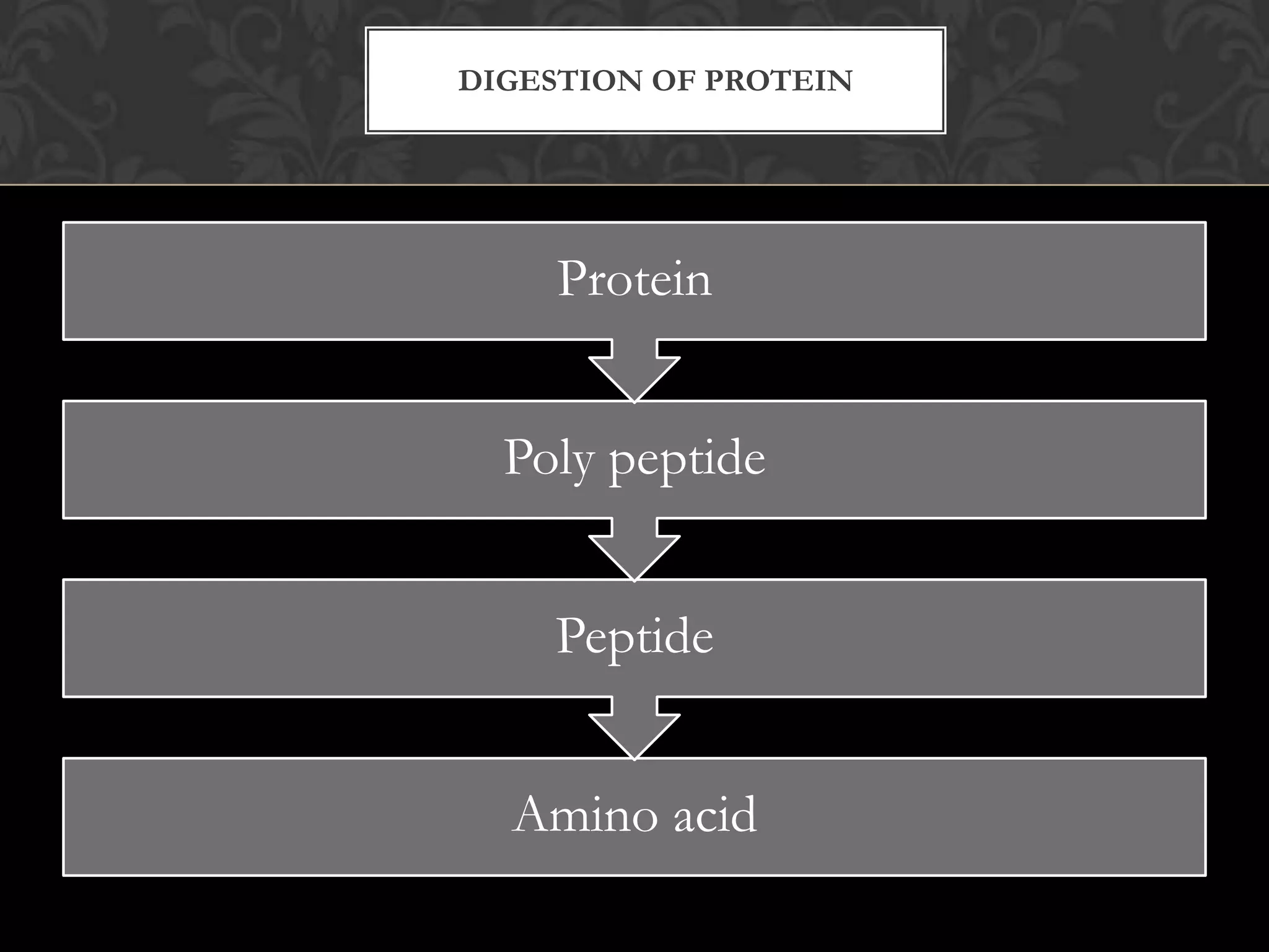 DIGESTION OF PROTEIN




    Protein


  Poly peptide


    Peptide


  Amino acid
 