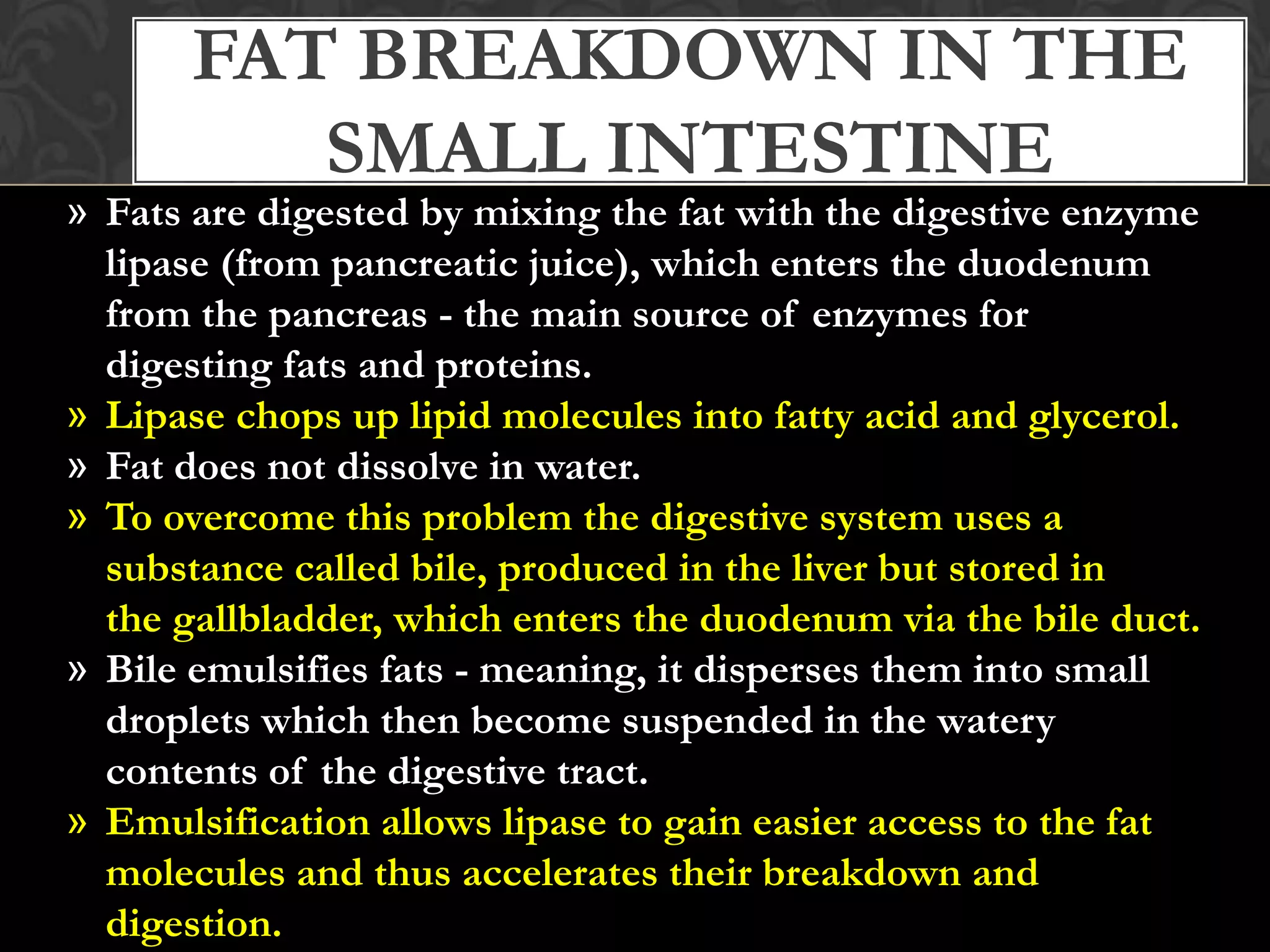FAT BREAKDOWN IN THE
         SMALL INTESTINE
» Fats are digested by mixing the fat with the digestive enzyme
  lipase (from pancreatic juice), which enters the duodenum
  from the pancreas - the main source of enzymes for
  digesting fats and proteins.
» Lipase chops up lipid molecules into fatty acid and glycerol.
» Fat does not dissolve in water.
» To overcome this problem the digestive system uses a
  substance called bile, produced in the liver but stored in
  the gallbladder, which enters the duodenum via the bile duct.
» Bile emulsifies fats - meaning, it disperses them into small
  droplets which then become suspended in the watery
  contents of the digestive tract.
» Emulsification allows lipase to gain easier access to the fat
  molecules and thus accelerates their breakdown and
  digestion.
 