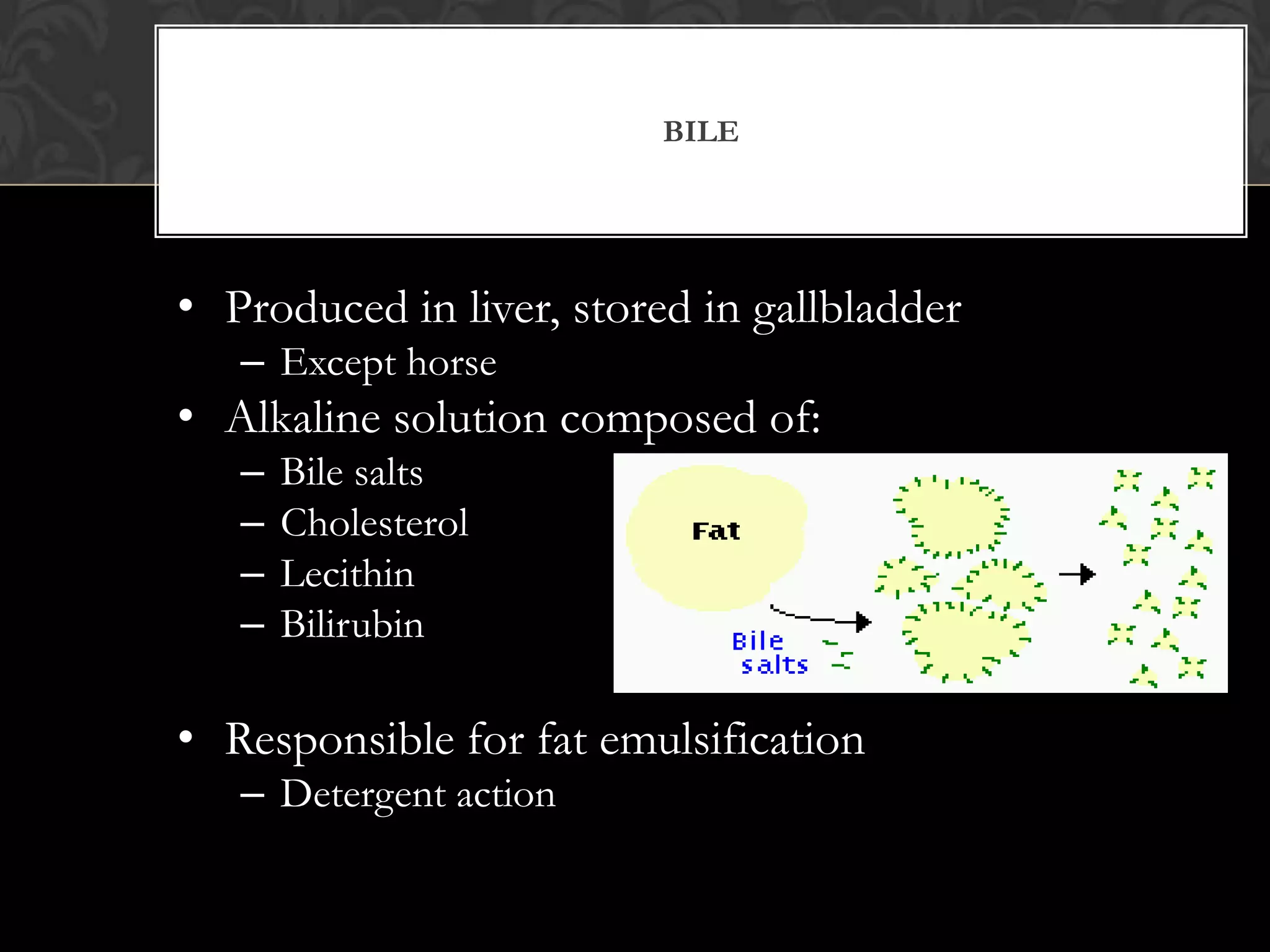 BILE




• Produced in liver, stored in gallbladder
   – Except horse
• Alkaline solution composed of:
   –   Bile salts
   –   Cholesterol
   –   Lecithin
   –   Bilirubin

• Responsible for fat emulsification
   – Detergent action
 