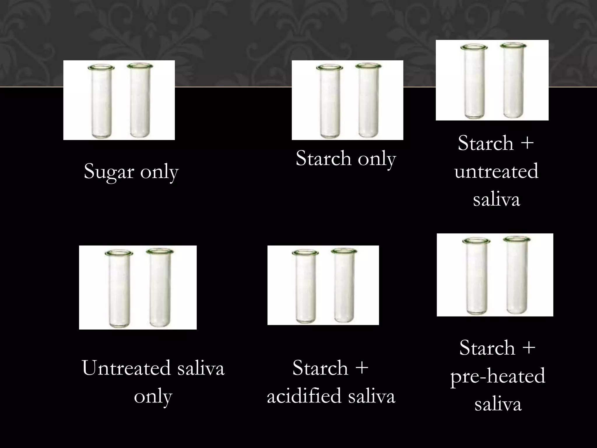Starch +
                      Starch only
Sugar only                            untreated
                                        saliva




                                       Starch +
Untreated saliva      Starch +        pre-heated
     only          acidified saliva      saliva
 