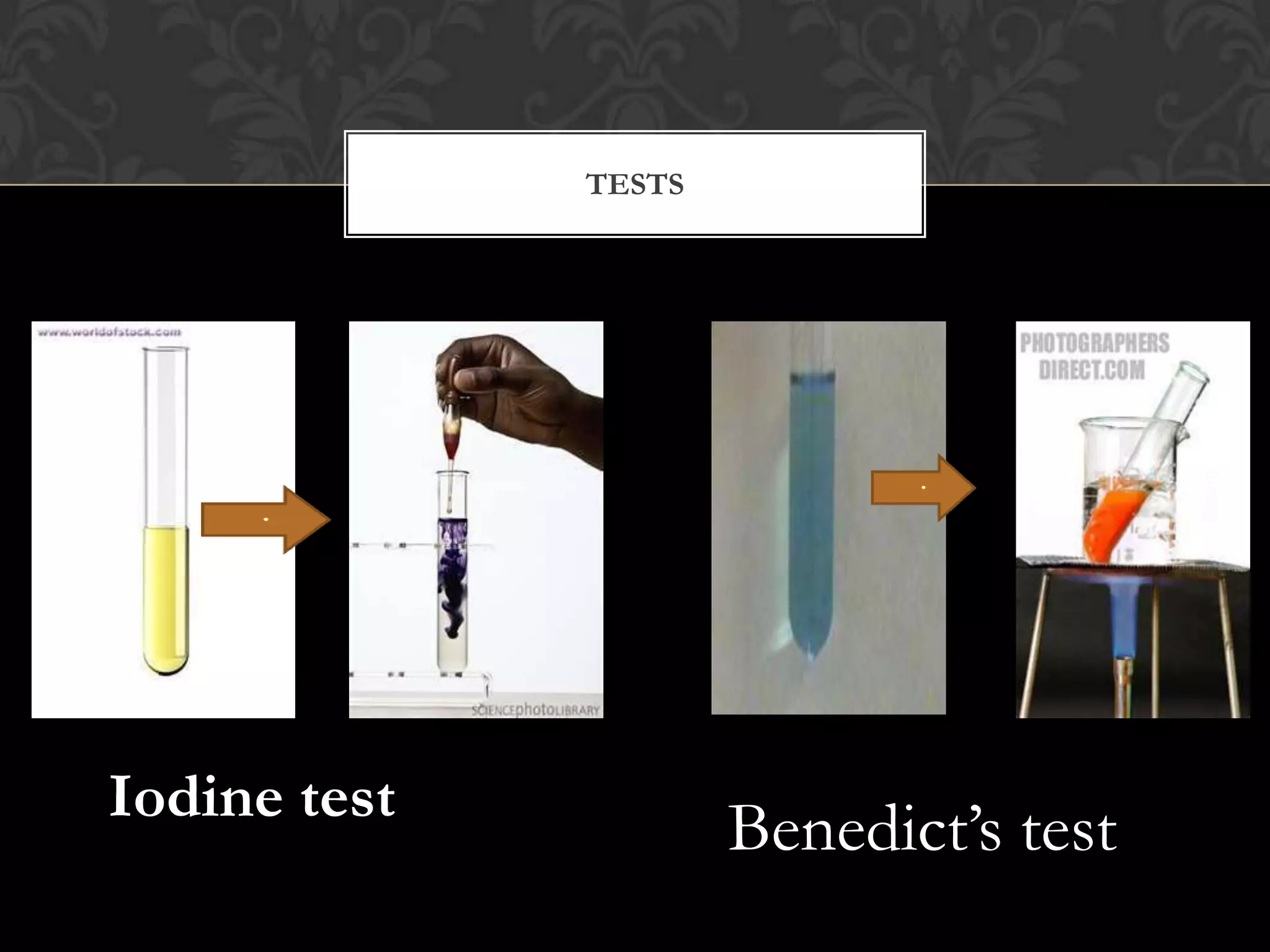 TESTS




Iodine test
                      Benedict’s test
 