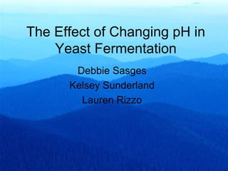 The Effect of Changing pH in
Yeast Fermentation
Debbie Sasges
Kelsey Sunderland
Lauren Rizzo
 