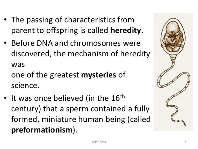Lab 6 inheritance of traits fall 2014