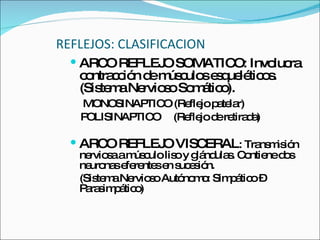 REFLEJOS: CLASIFICACION ARCO REFLEJO SOMATICO: Involucra contracción de músculos esqueléticos. (Sistema Nervioso Somático). MONOSINAPTICO (Reflejo patelar) POLISINAPTICO  (Reflejo de retirada) ARCO REFLEJO VISCERAL : Transmisión nerviosa a músculo liso y glándulas. Contiene dos neuronas eferentes en sucesión. (Sistema Nervioso Autónomo: Simpático – Parasimpático) 