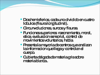 Dos hemisferios, cada uno dividido en cuatro lobulos (fisura longitudinal). Circunvoluciones, surcos y fisuras. Funciones superiores: razonamiento, moral, etica, evaluacion sensorial, control de movimientos voluntarios, habla. Presenta la mayoria de centros que analizan la informacion que llega y controlan el cuerpo.  Cubierta delgada de materia gris sobre materia blanca.. 