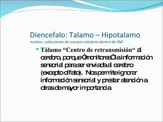 Diencefalo: Talamo – Hipotalamo nucleos: colecciones de cuerpos celulares dentro de SNC Tálamo   “Centro de retransmisión“  al cerebro, porque “monitorea” la información sensorial para ser enviada al cerebro (excepto olfato).  Nos permite ignorar información sensorial y prestar atención a otras de mayor importancia. 
