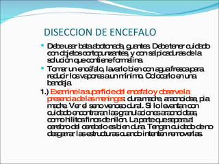 DISECCION DE ENCEFALO Debe usar bata abotonada, guantes. Debe tener cuidado con objetos cortopunzantes, y con salpicaduras de la solución que contiene formalina. Tomar un encéfalo, lavarlo bien con agua fresca para reducir los vapores a un mínimo. Colocarlo en una bandeja. 1.)  Examine la superficie del encefalo y observe la presencia de las meninges : dura madre, aracnoidea, pia madre. Ver el seno venoso dural. Si lo levantan con cuidado encontraran las granulaciones aracnoideas, como hilitos finos de nilon. La parte que separa al cerebro del cerebelo es bien dura. Tengan cuidado de no desgarrar las estructuras cuando intenten removerlas. 