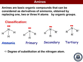 Lab 6 Amines.pdf yes l need the file becues l pharmacy | PDF