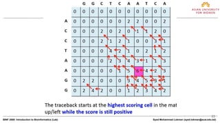 23
BINF 2000: Introduction to Bioinformatics (Lab) Syed Mohammad Lokman (syed.lokman@auw.edu.bd)
 