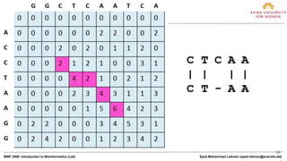 24
BINF 2000: Introduction to Bioinformatics (Lab) Syed Mohammad Lokman (syed.lokman@auw.edu.bd)
 