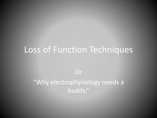 Loss of Function Techniques
Or
“Why electrophysiology needs a
buddy.”
 