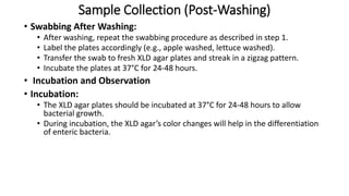 Lab 6th Practical for and Dairy Microbiology.pdf