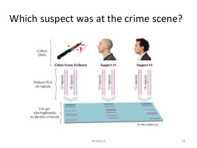 Forensic Analysis And Dna In Criminal Investigations And Cold Cases Solved True Crime Stories