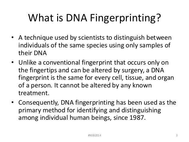 lab 7 dna fingerprinting and gel electrophoresis fall 2014 dna fingerprinting lab answers