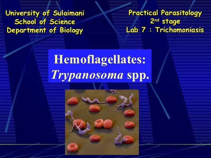 Lab 7 trypanosomiasis