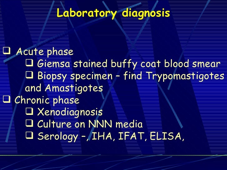 Lab 7 trypanosomiasis