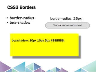 Lab#7 CSS Box Model | PPT