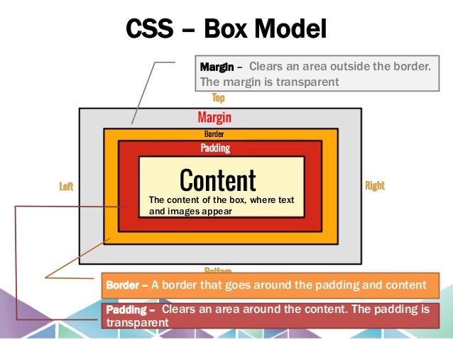 Lab#7 CSS Box Model