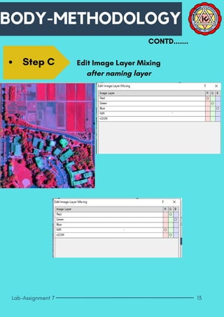 Object Based Image Analysis: Introduction to eCognition | PDF