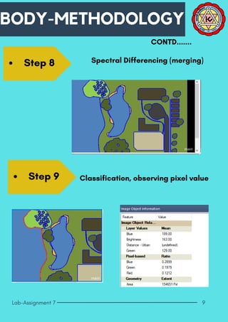 Object Based Image Analysis: Introduction to eCognition | PDF