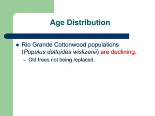 Age Distribution
 Rio Grande Cottonwood populations
(Populus deltoides wislizenii) are declining.
– Old trees not being replaced.
 