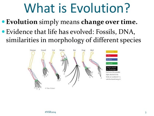 Explain The Difference Between Evolution And Natural Selection Explain The Difference Between Evolution And Natural Selection